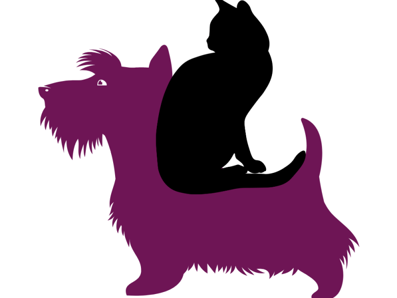 The Week The Scotties&nbsp;Meowed